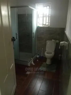 Exe 2-Bedrooms Apartment With AC Dansoman