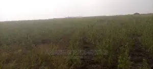 50acres of Land for Sale Adjiringanor Going $220,000per Plot