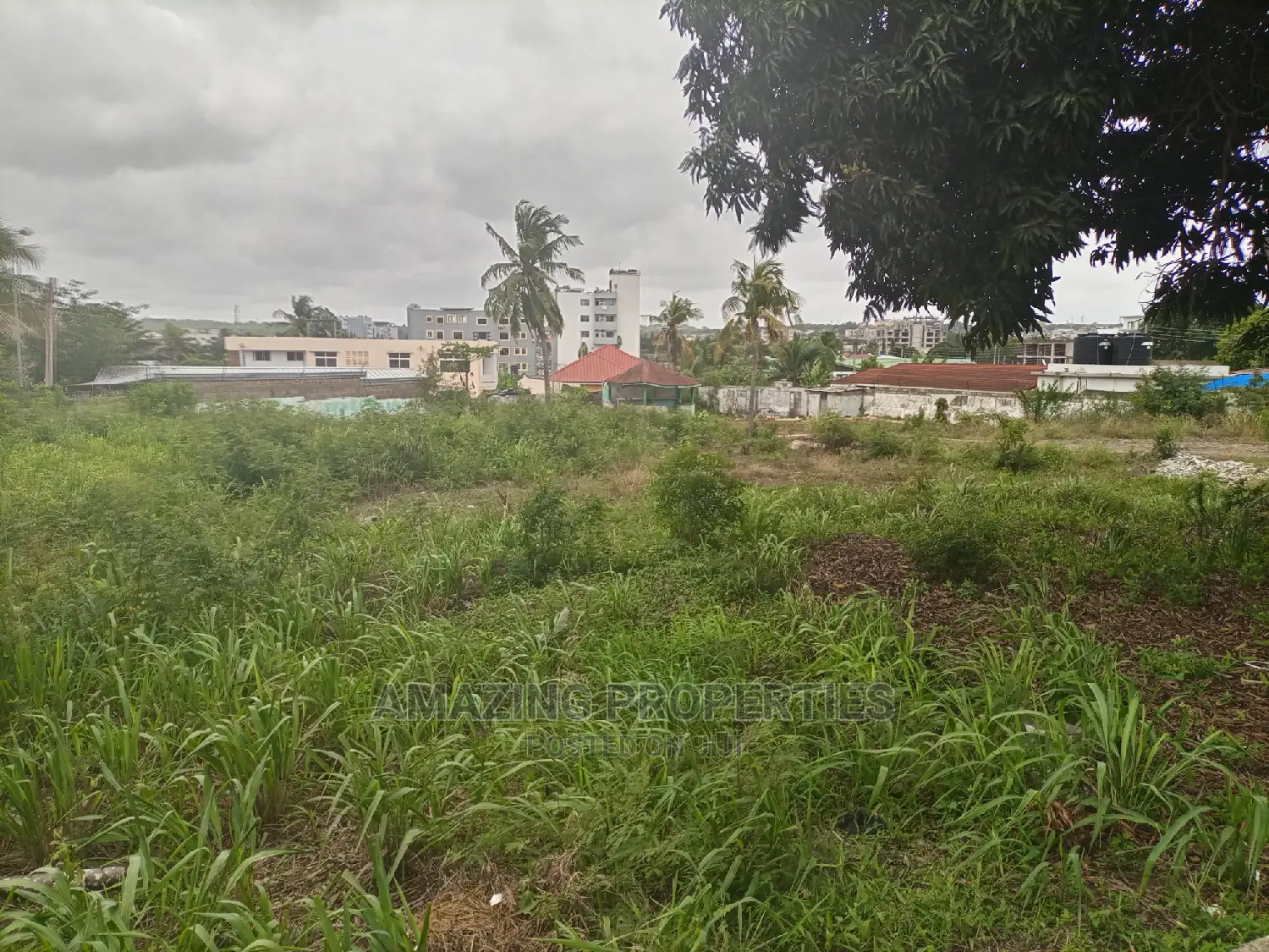 Jv Lands Available* Cantonments 0.55acre Land.