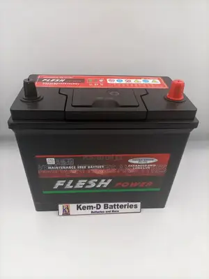 Flesh Power Battery