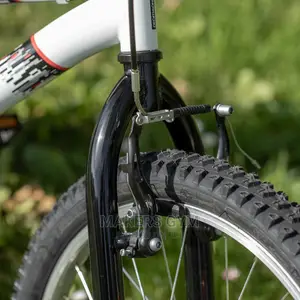 Mountain Bike (20 Inch Kids)