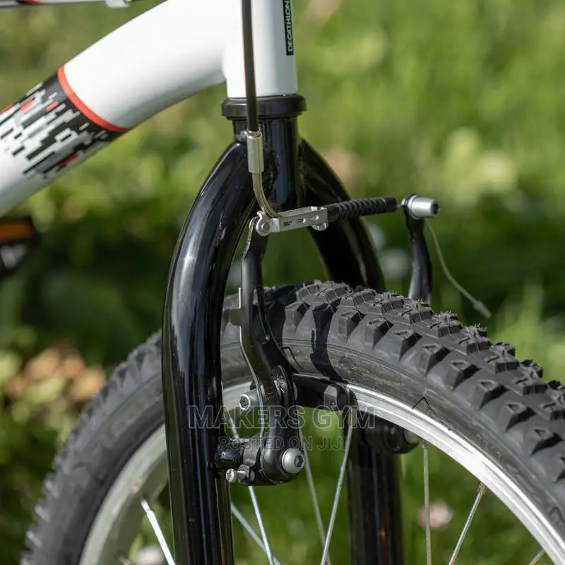 Mountain Bike (20 Inch Kids)
