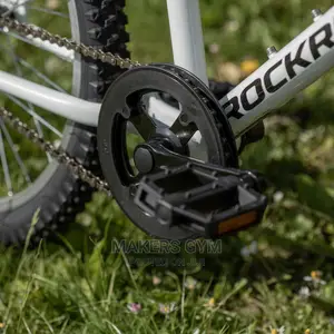 Mountain Bike (20 Inch Kids)