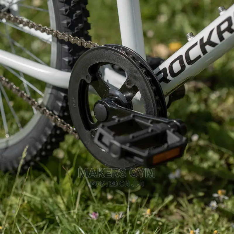 Mountain Bike (20 Inch Kids)