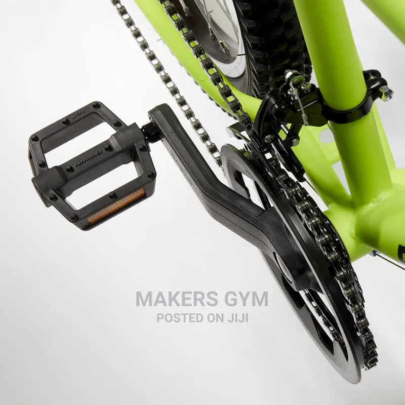 Mountain Bike (24 Inch Kids)