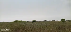 70acres of Land Available for Sale at Zoomlion on Main Road
