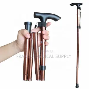 Walking Stick or Walking Cane C