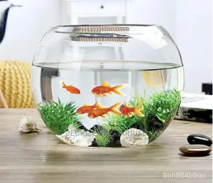 Quality Glass Fish Bowl With Fishes