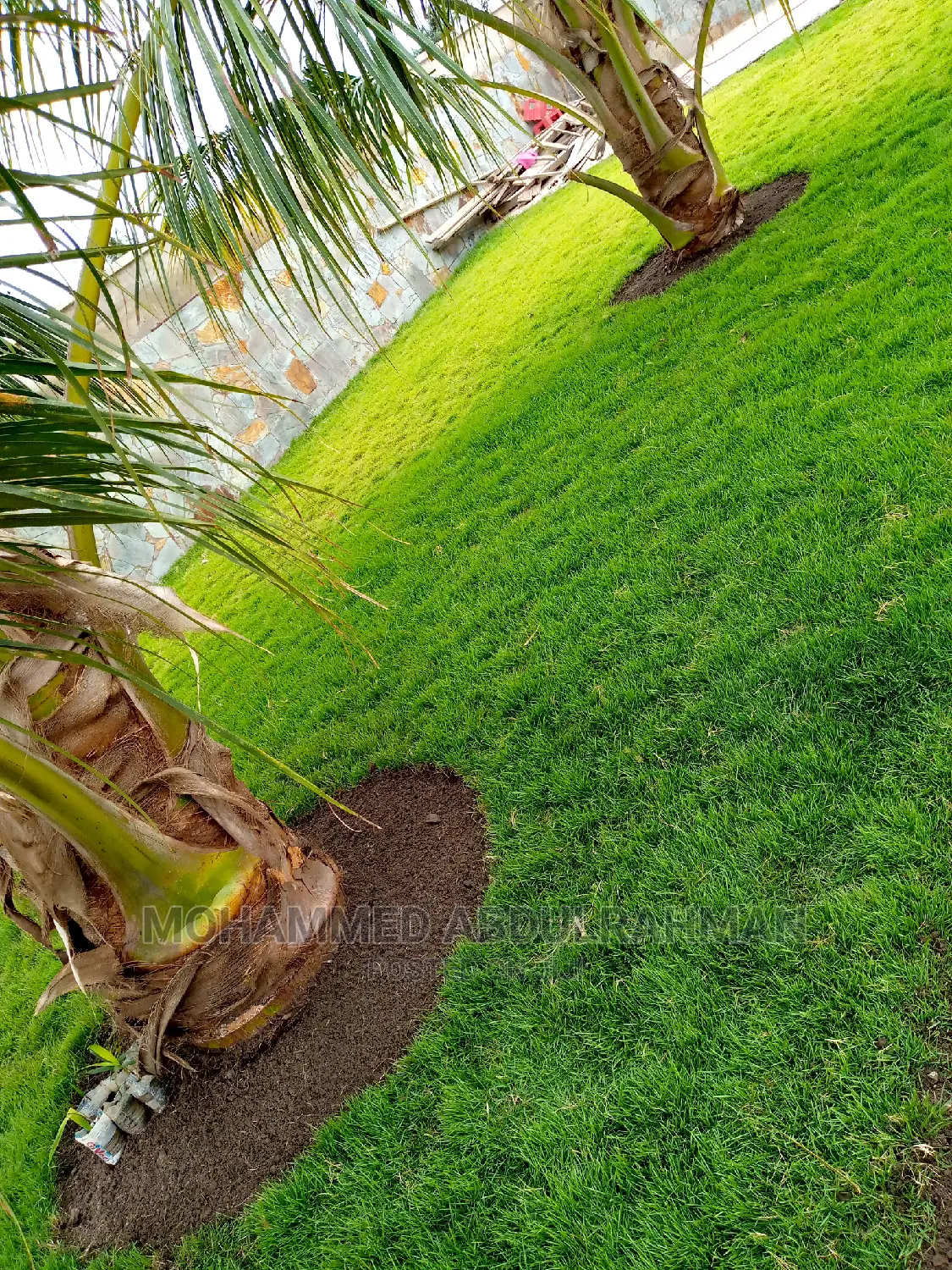 Healthy Garden Maintenance
