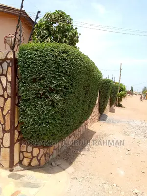 Healthy Garden Maintenance