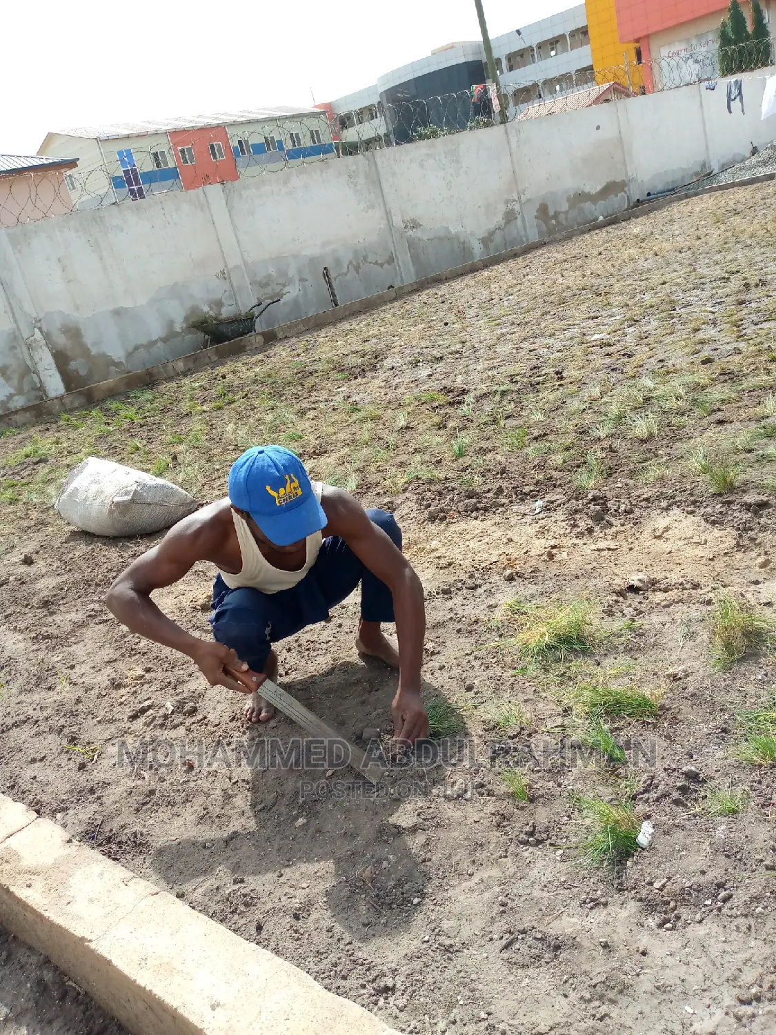 Healthy Garden Maintenance