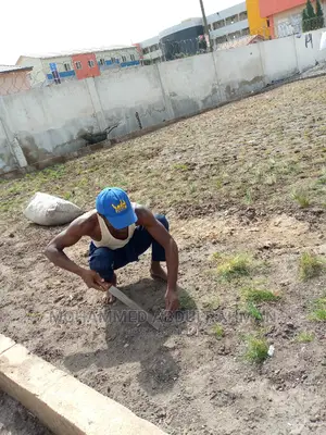 Healthy Garden Maintenance