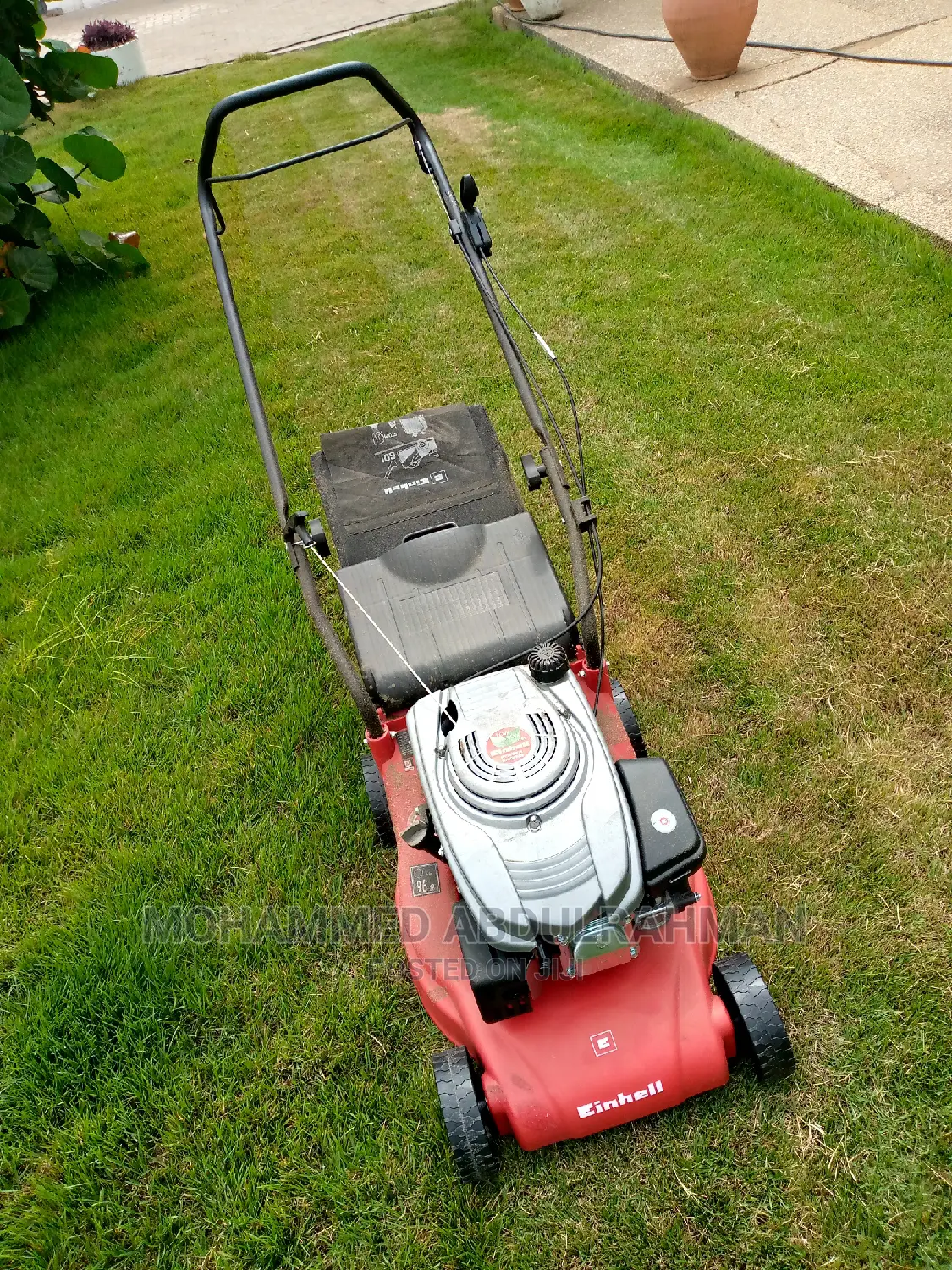 Healthy Garden Maintenance