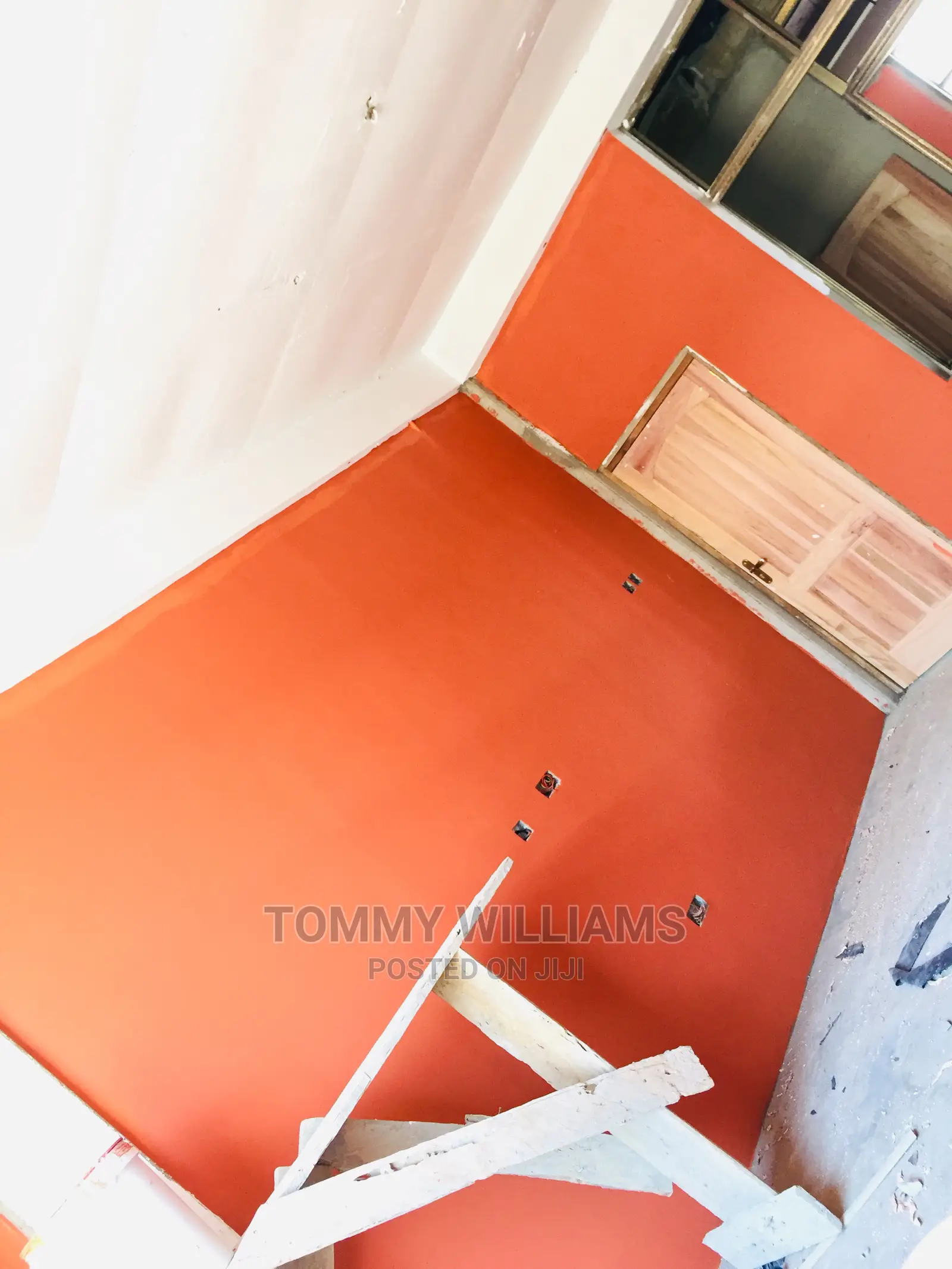 Professional Painting and Room Art Works
