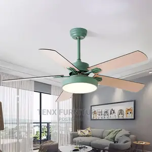 Ceiling Fan Ultra-Thin Modern Simplicity Frequency Remote