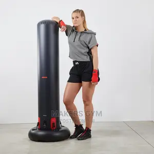Punching Bag (Free-Standing )