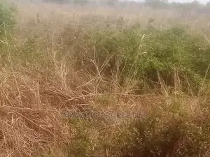 1.3acres of Bare Land, for Sale at Nungua, Coco Beach.