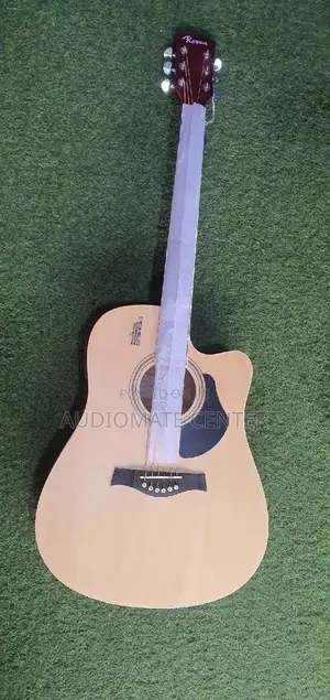 Rosen Acostic Guiter