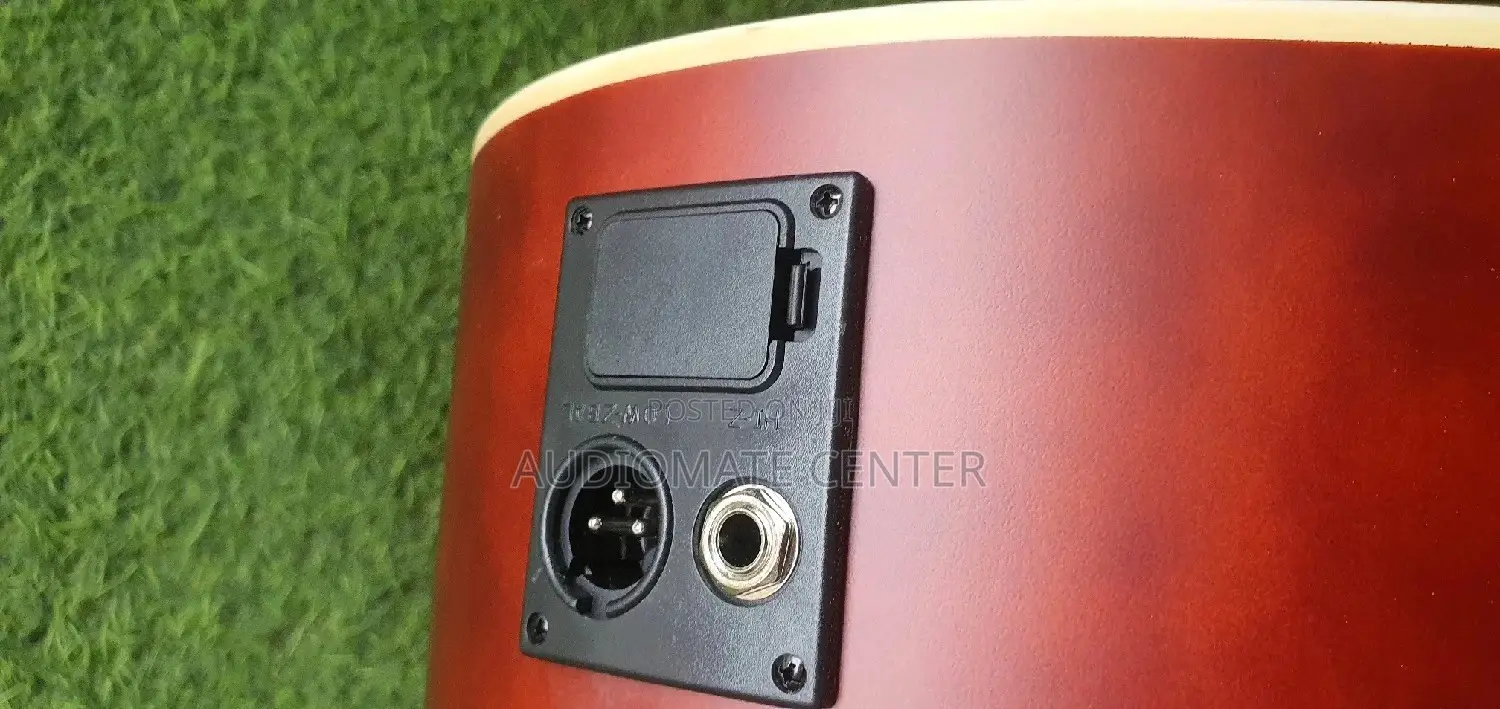Rosen Acostic Guiter
