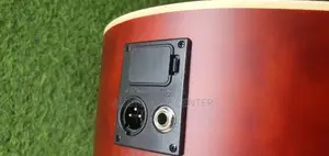 Rosen Acostic Guiter