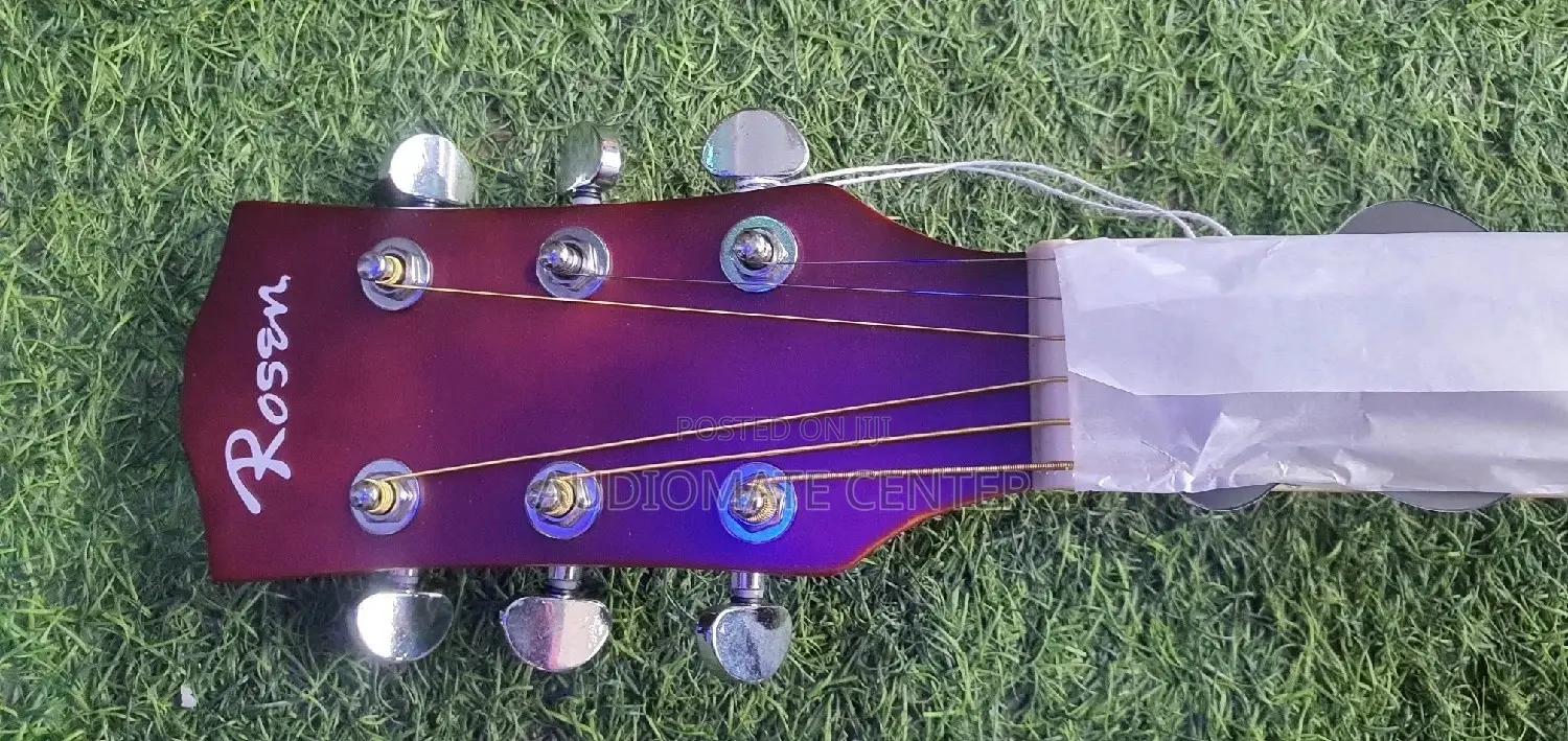 Rosen Acostic Guiter