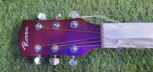 Rosen Acostic Guiter