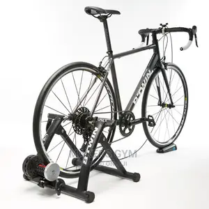 Home Trainer(In'ride )