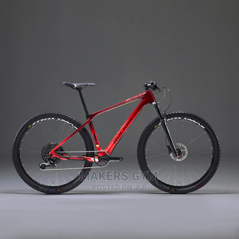 Bicycle (Carbon Mountain Bike)