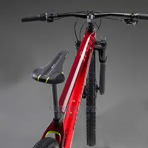 Bicycle (Carbon Mountain Bike)