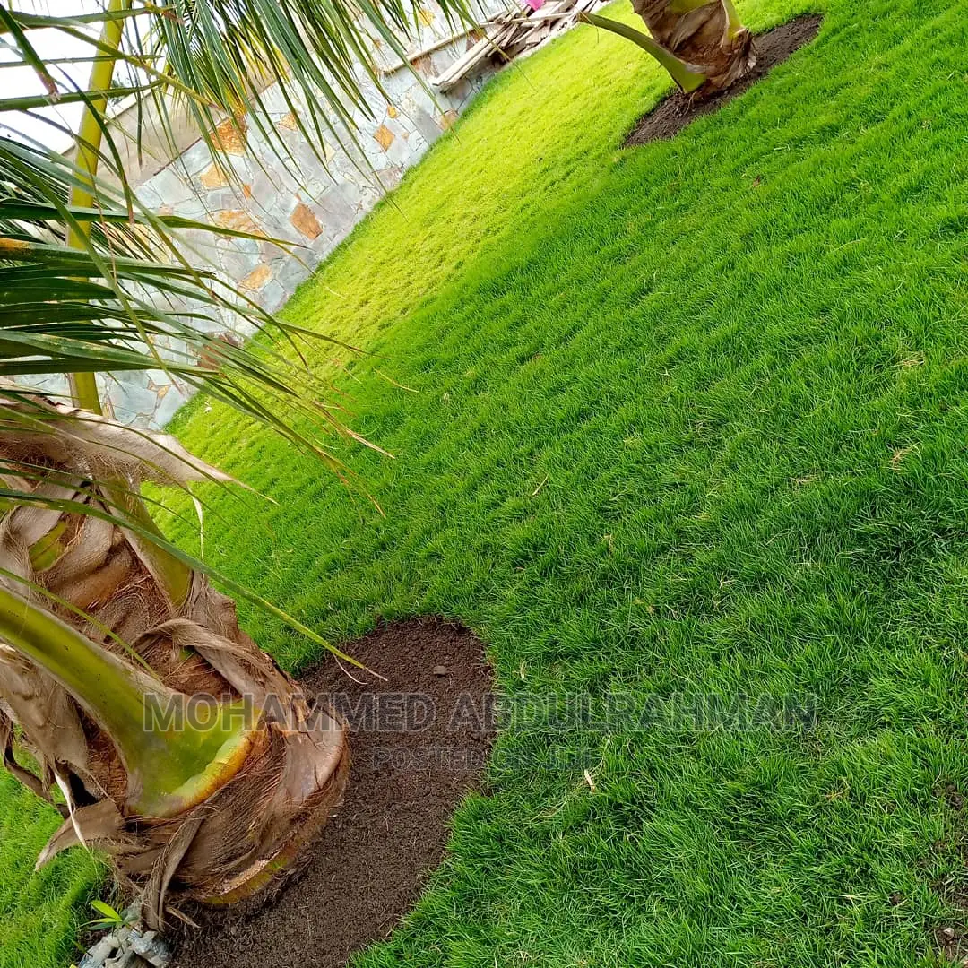 Perfect Garden Maintenance