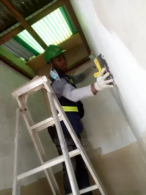 Wall Skimming and House Painting