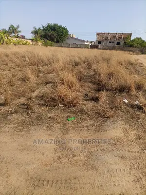 30 Plot of Land at Tse-Addo