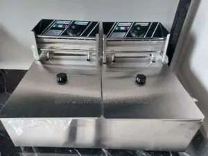 Fryer Electric Two in One