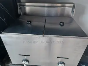 Two in One Deep Fryer