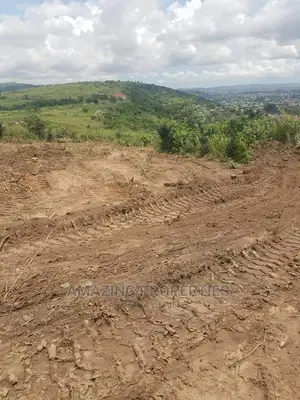 60,000+ Acres Mixed Farmland Various Kintampo Bono Region