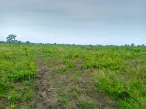 5000+ Acres Farm/Agricultural Land Ekumfi Central Region
