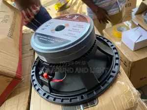 EV Double Magnet 12-Inch 600 Watts Instrumental Speaker