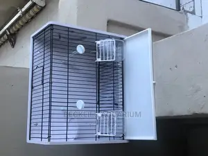 Large Bird Cages N More