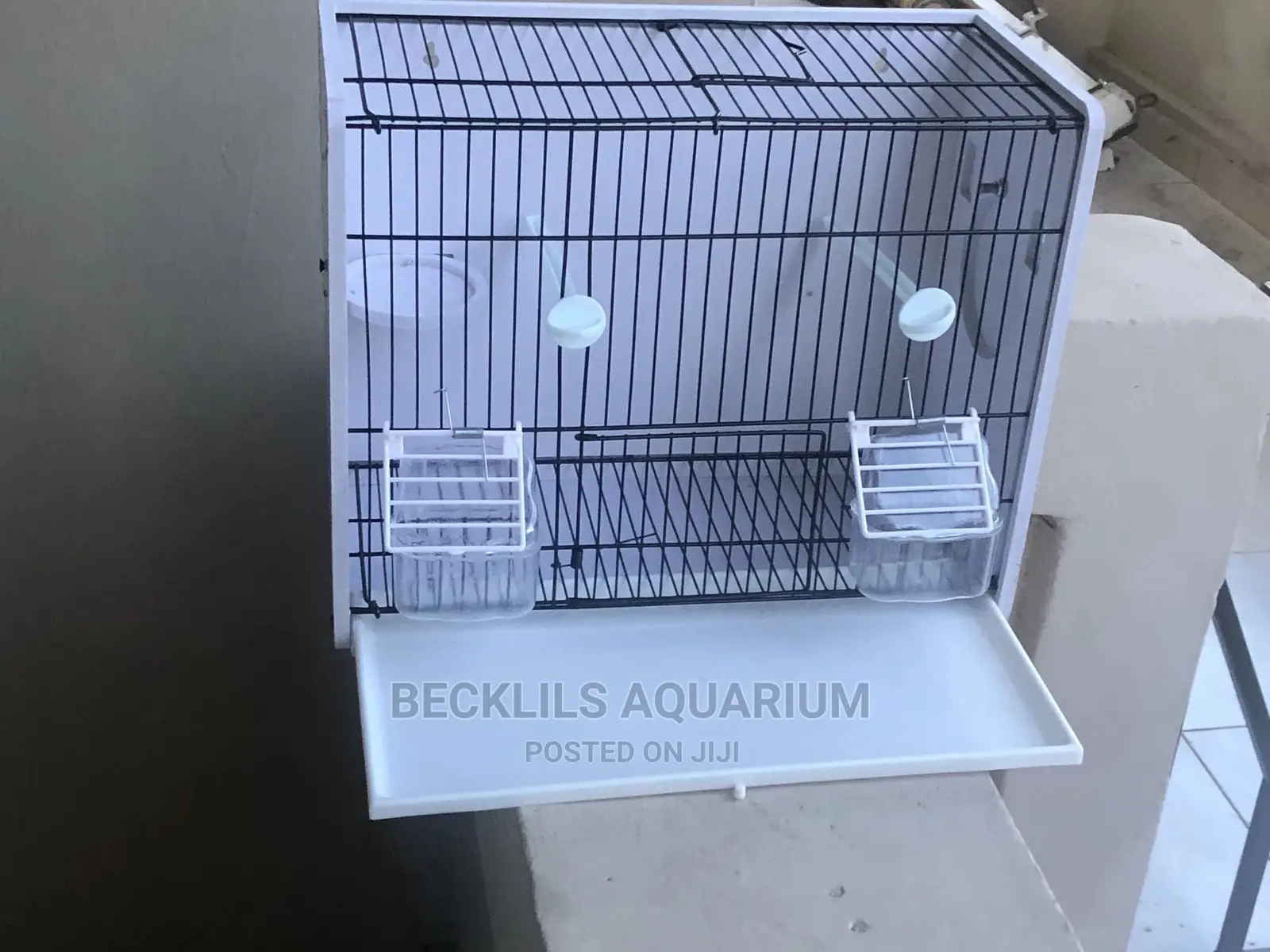 Large Bird Cages N More