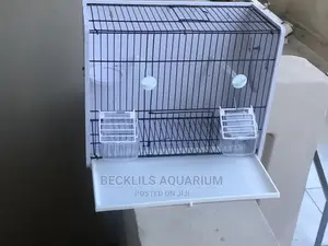 Large Bird Cages N More