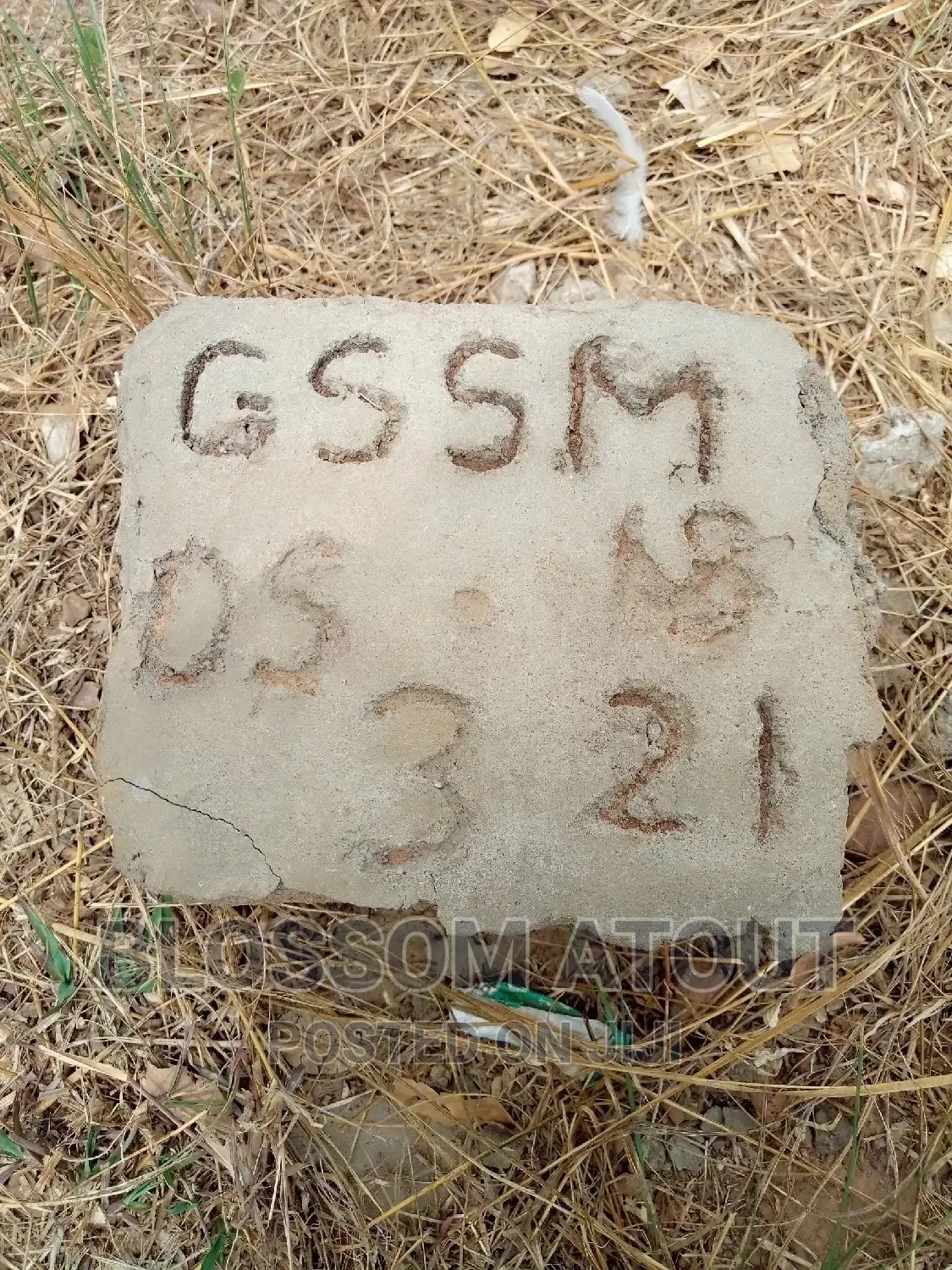Land Surveyor