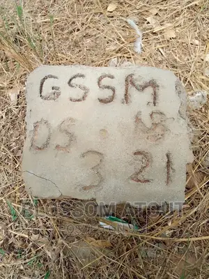 Land Surveyor