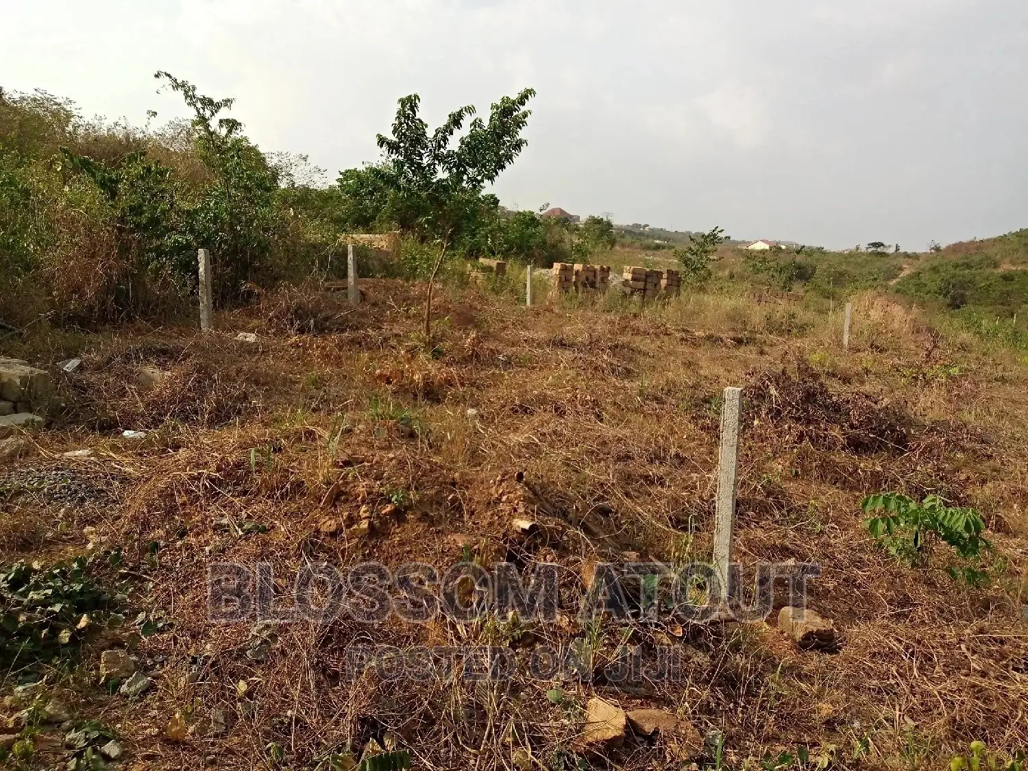 Land Surveyor