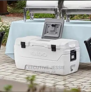Igloo Ice Chest