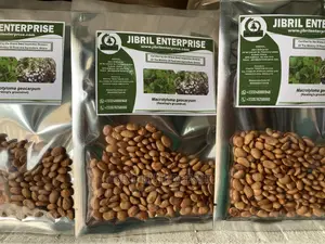 Brown Kersting’S Groundnut (Macrotyloma Geocarpum)
