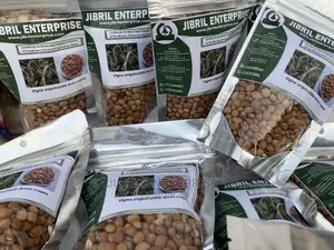 African Brown Cowpea