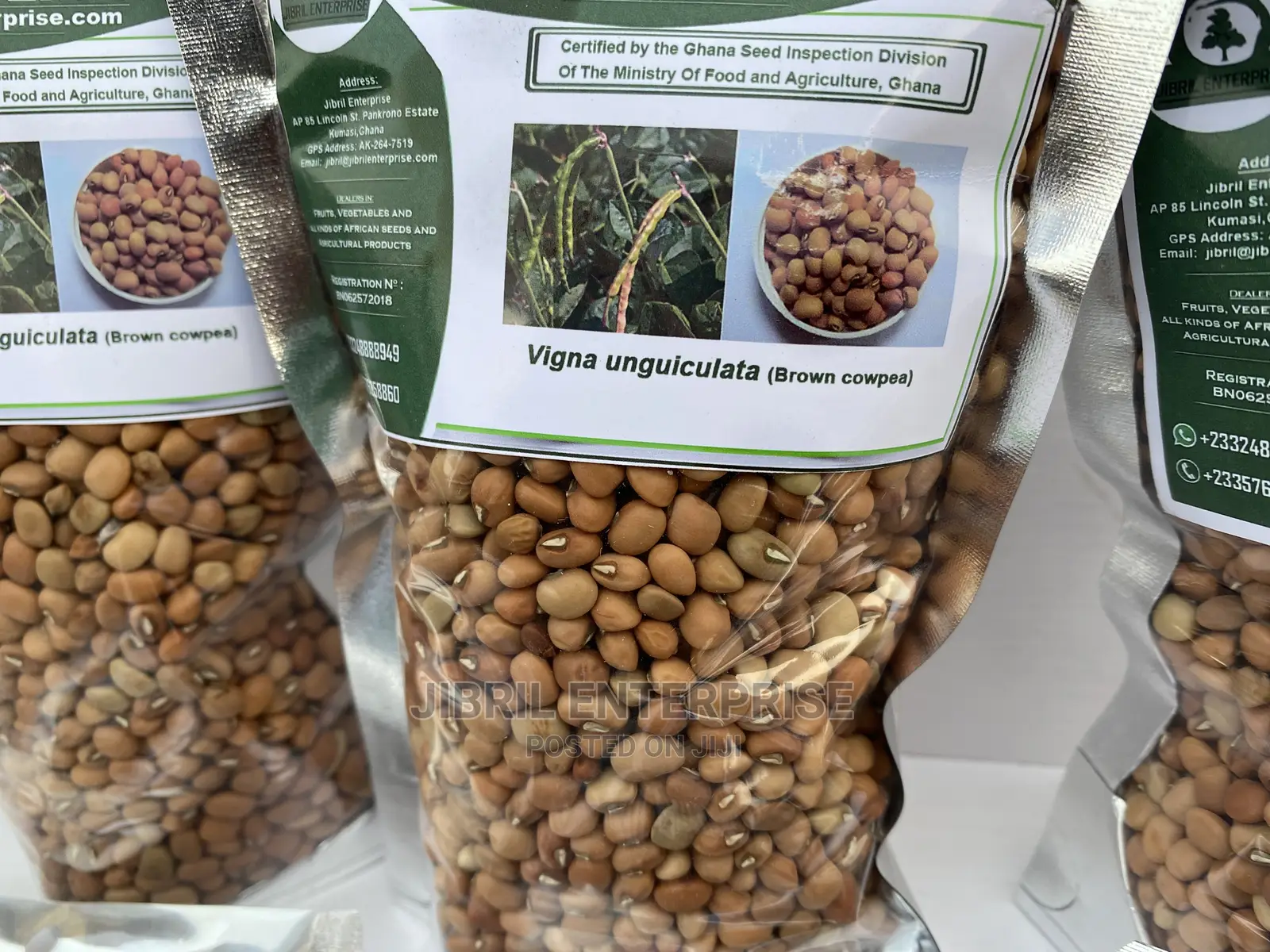 African Brown Cowpea