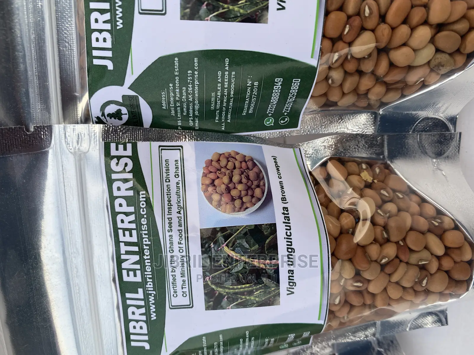 African Brown Cowpea