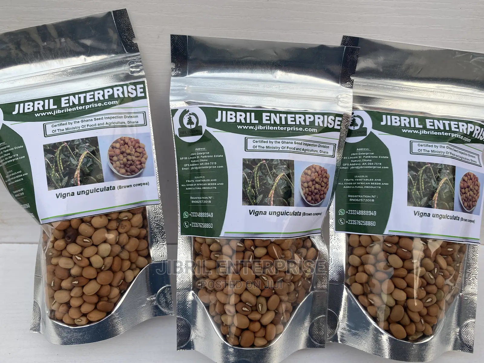 African Brown Cowpea