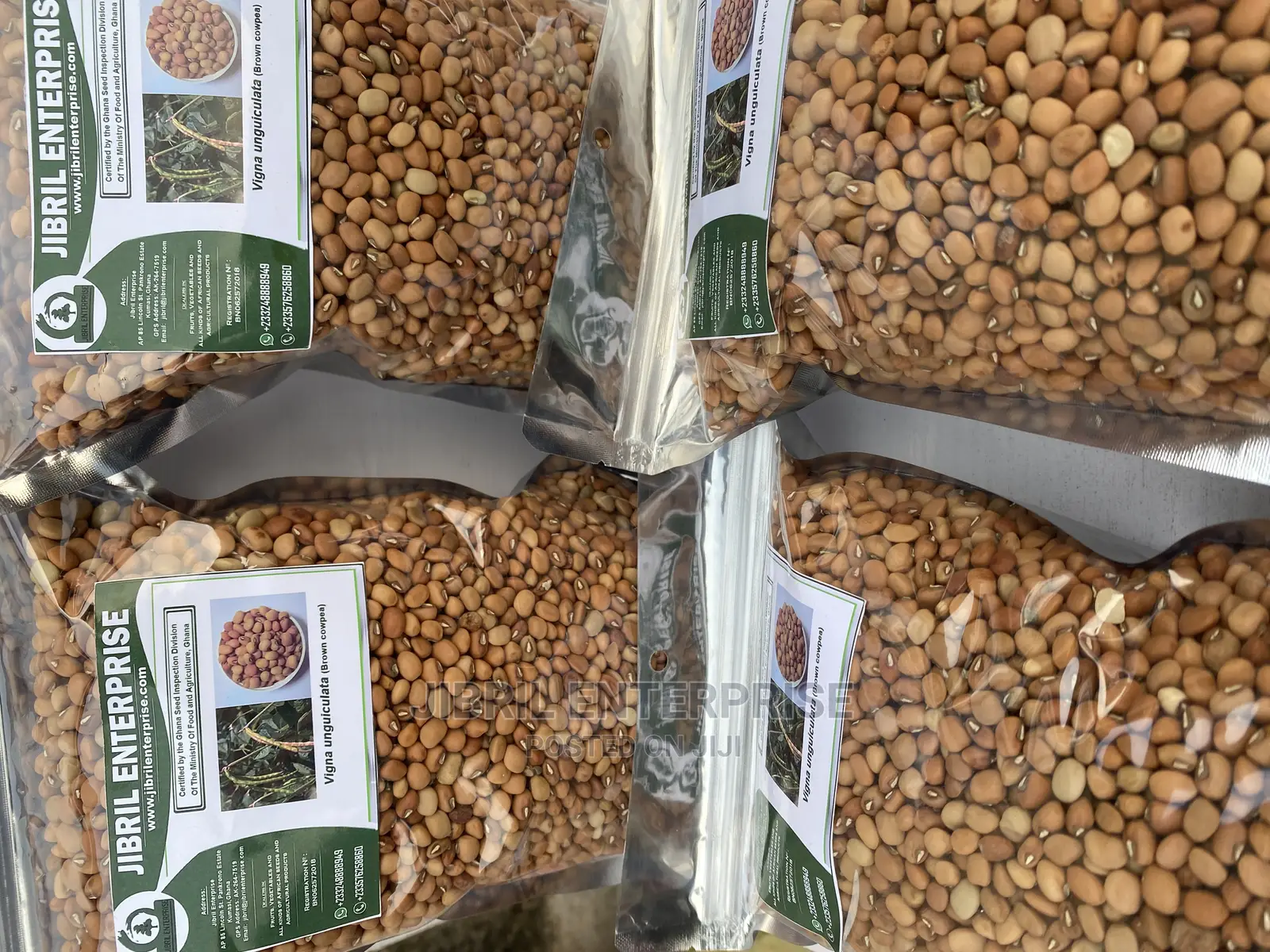 African Brown Cowpea